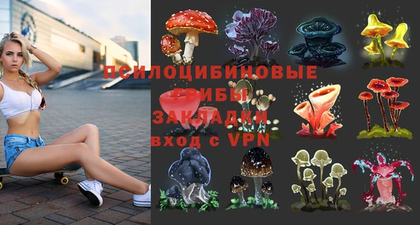 шишки Алзамай